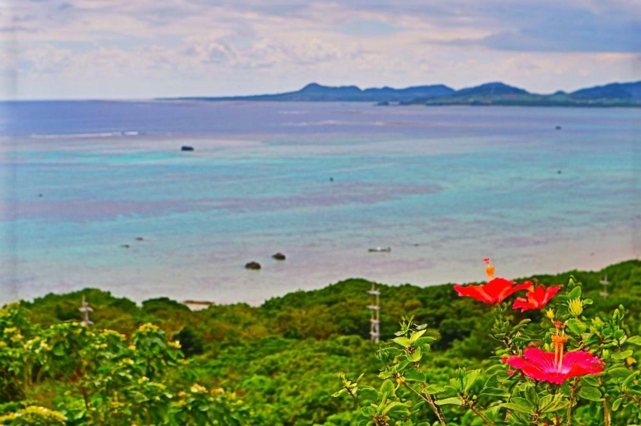 Little Mermaid Hotel Ishigakijima Ishigaki  Exterior photo